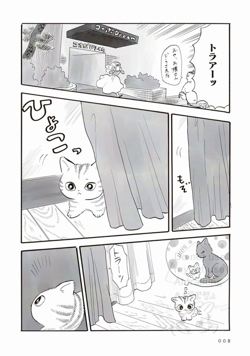 2/4 