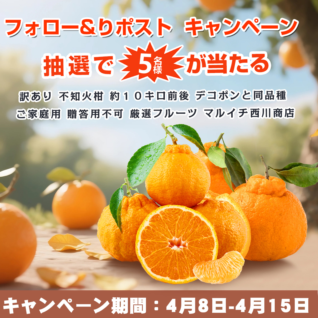 フードロス削減・お得情報・応援 tweet media