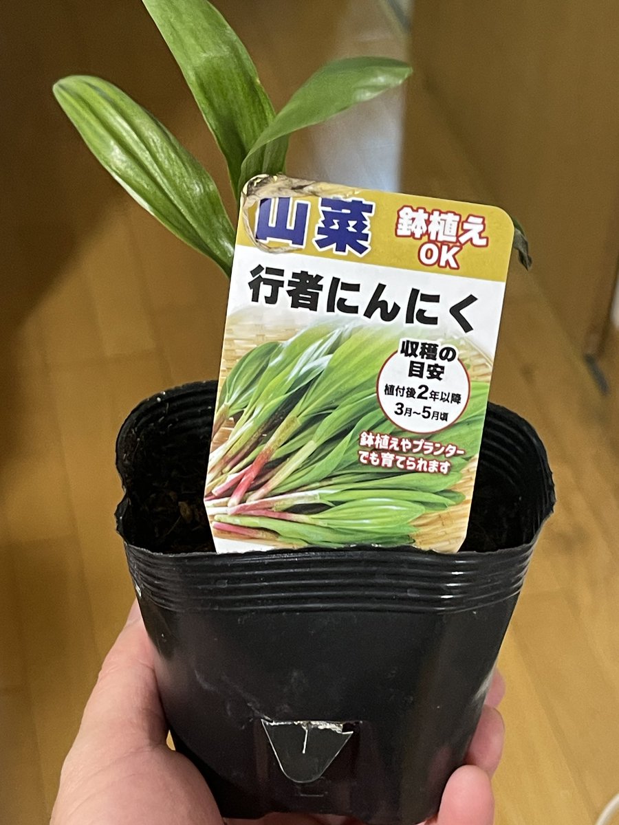 みなせ ★C107は抽選漏れ_★庭付戸建★某A産業リクルーター tweet media