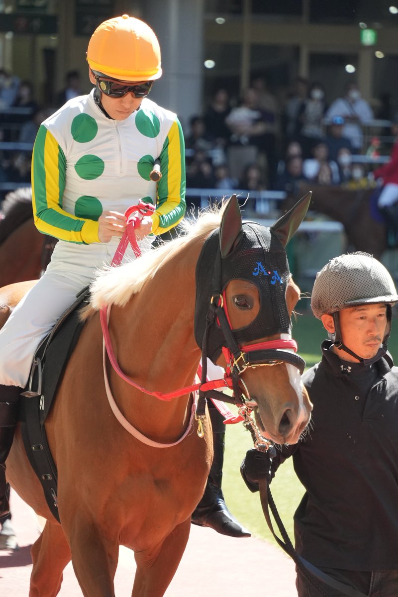 コロン(Coron) tweet media