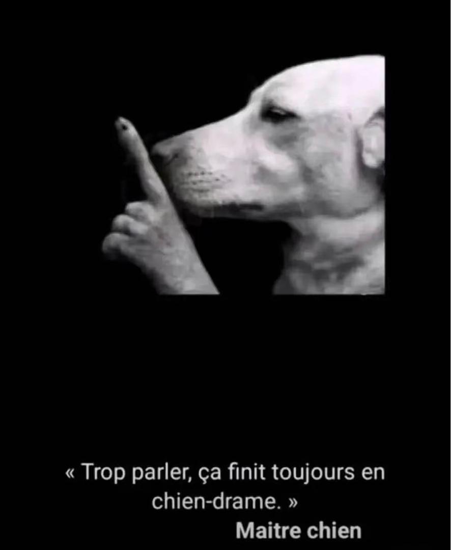 bouakoikai2's tweet image. Ferme ta bouche