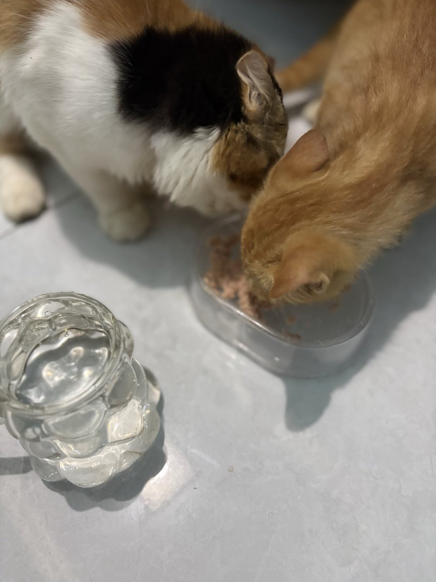 Fifiiiii tweet media