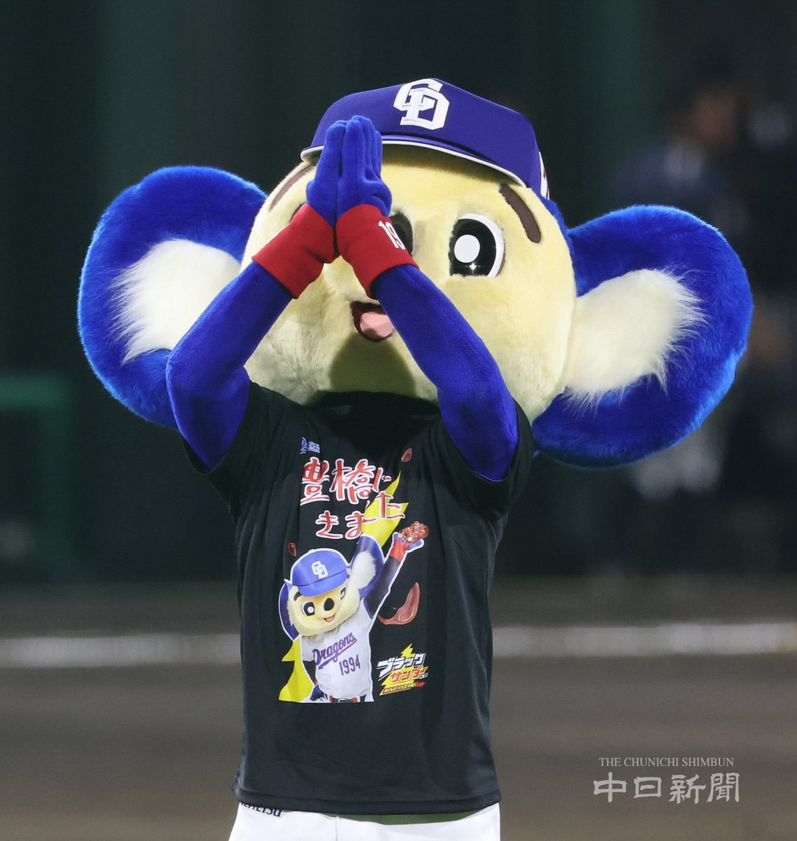 中日新聞写真部 tweet media