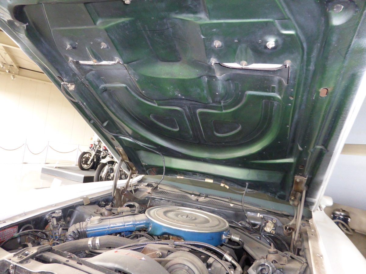 むなーげ tweet media