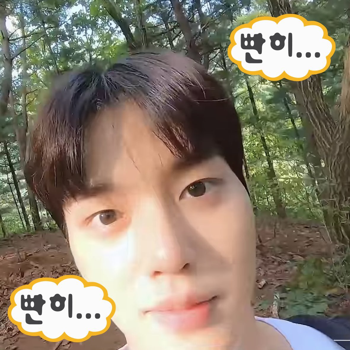 뭐라할까 말까 tweet media