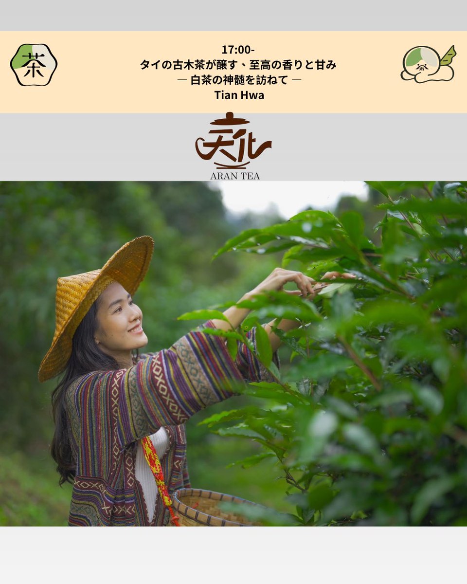 世界茶文化展～2026春～ 📣4/18、4/19特別講座 🗓 4/19 🕐13時～ 茶樓