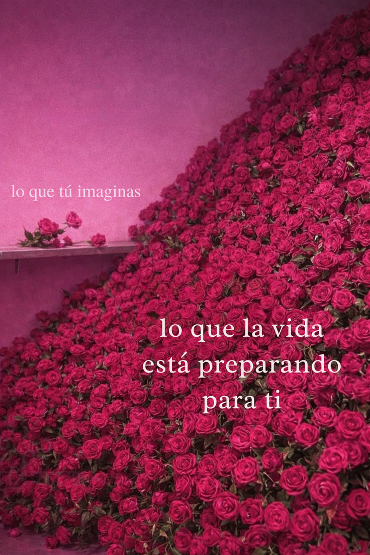 Clau๐Vargaยง tweet media