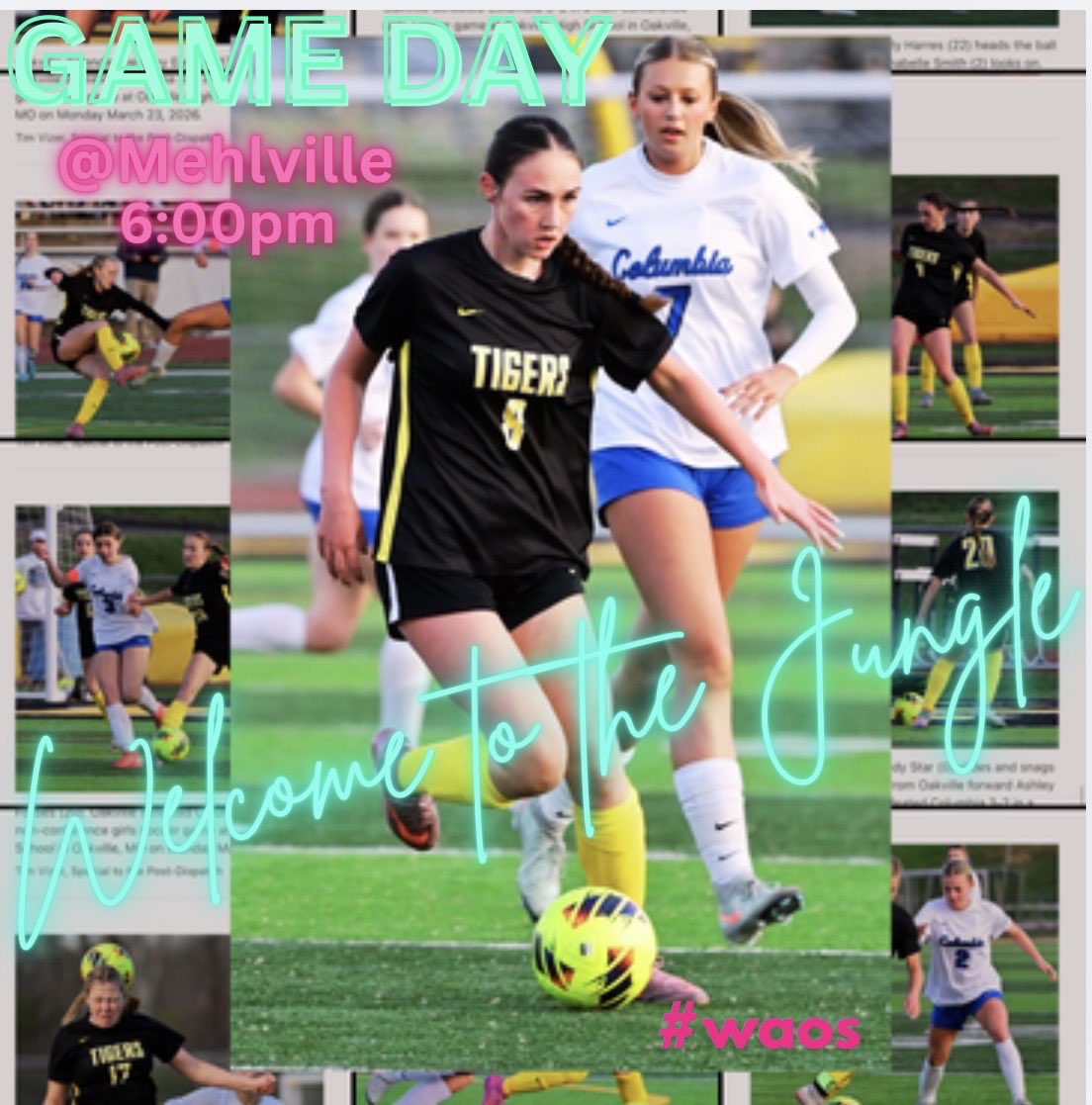 Coachguns's tweet image. Game Day✨
~
@Mehlville
6:00pm
~
Welcome to the Jungle🐅✨
~
#waos