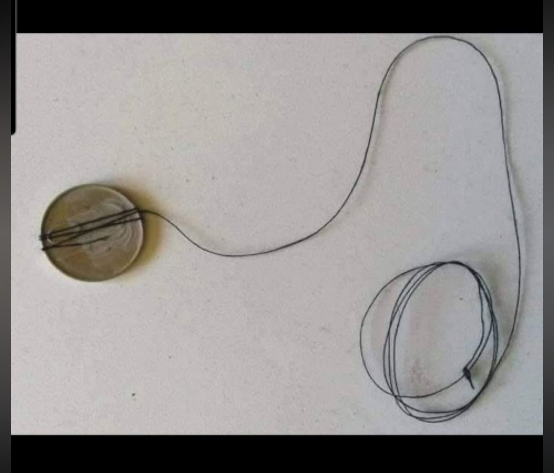 Mike the Warthog tweet media