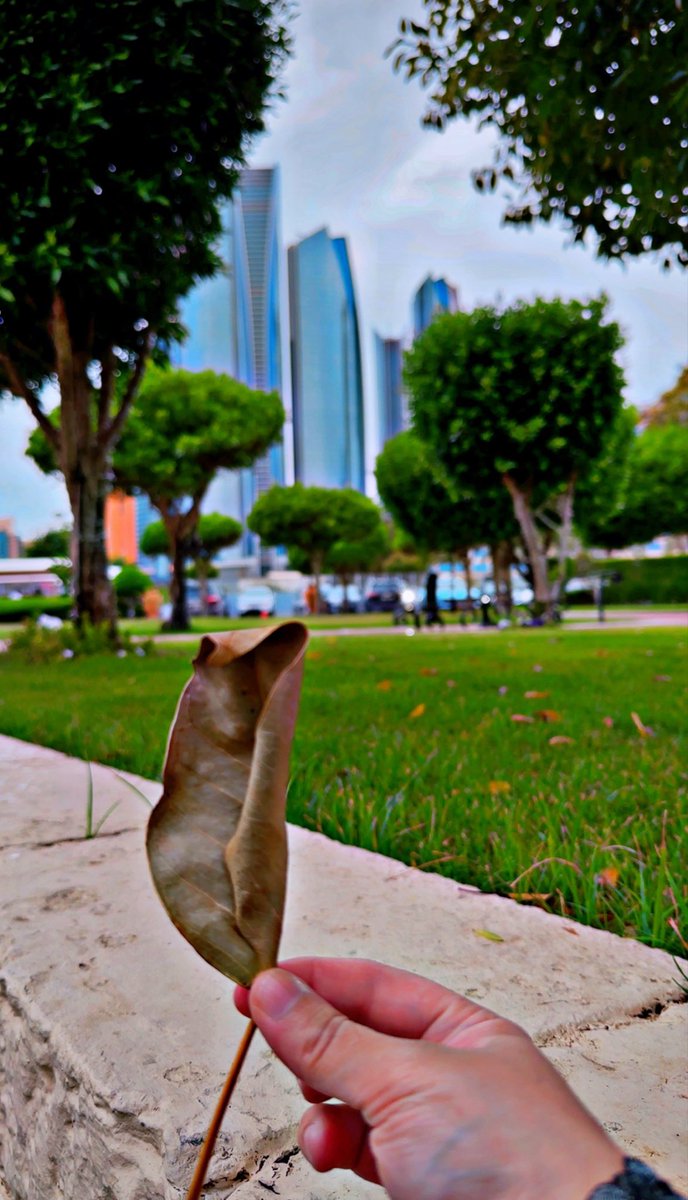 🇦🇪♔بنت زايد tweet media