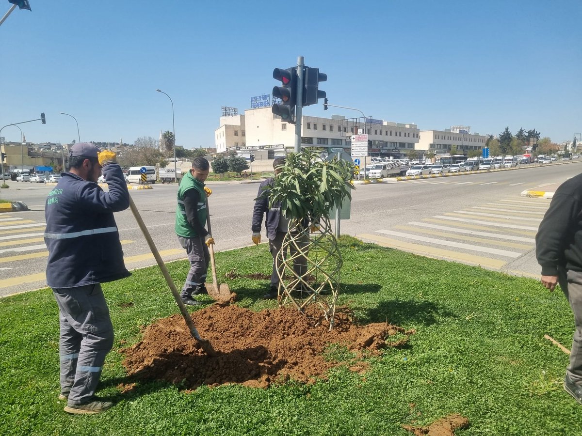 ŞBB PARK VE BAHÇELER 🇹🇷 tweet media