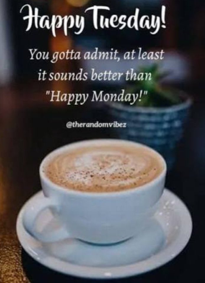 Charlie Dudley tweet media