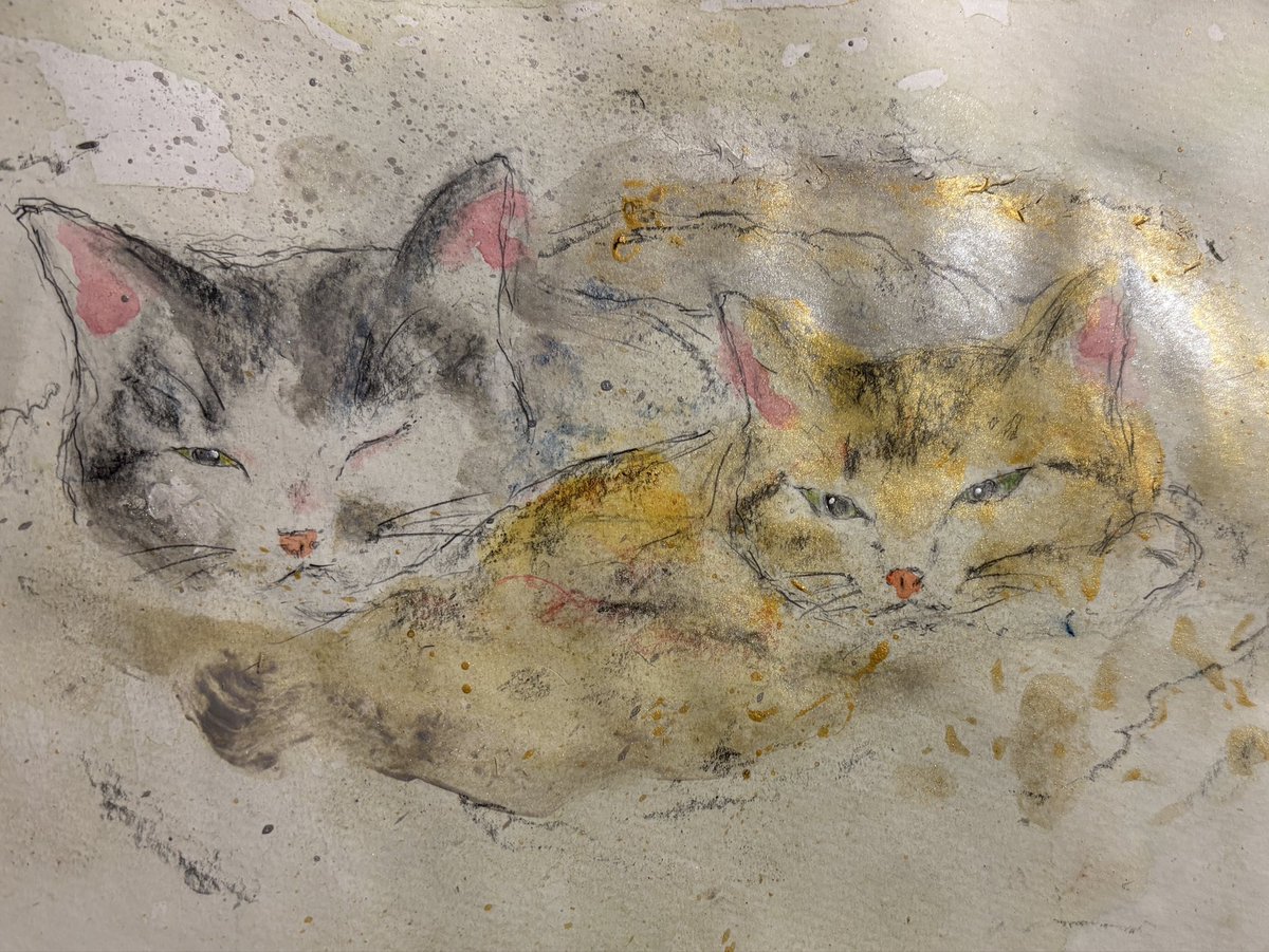 偶然の産物 tweet media