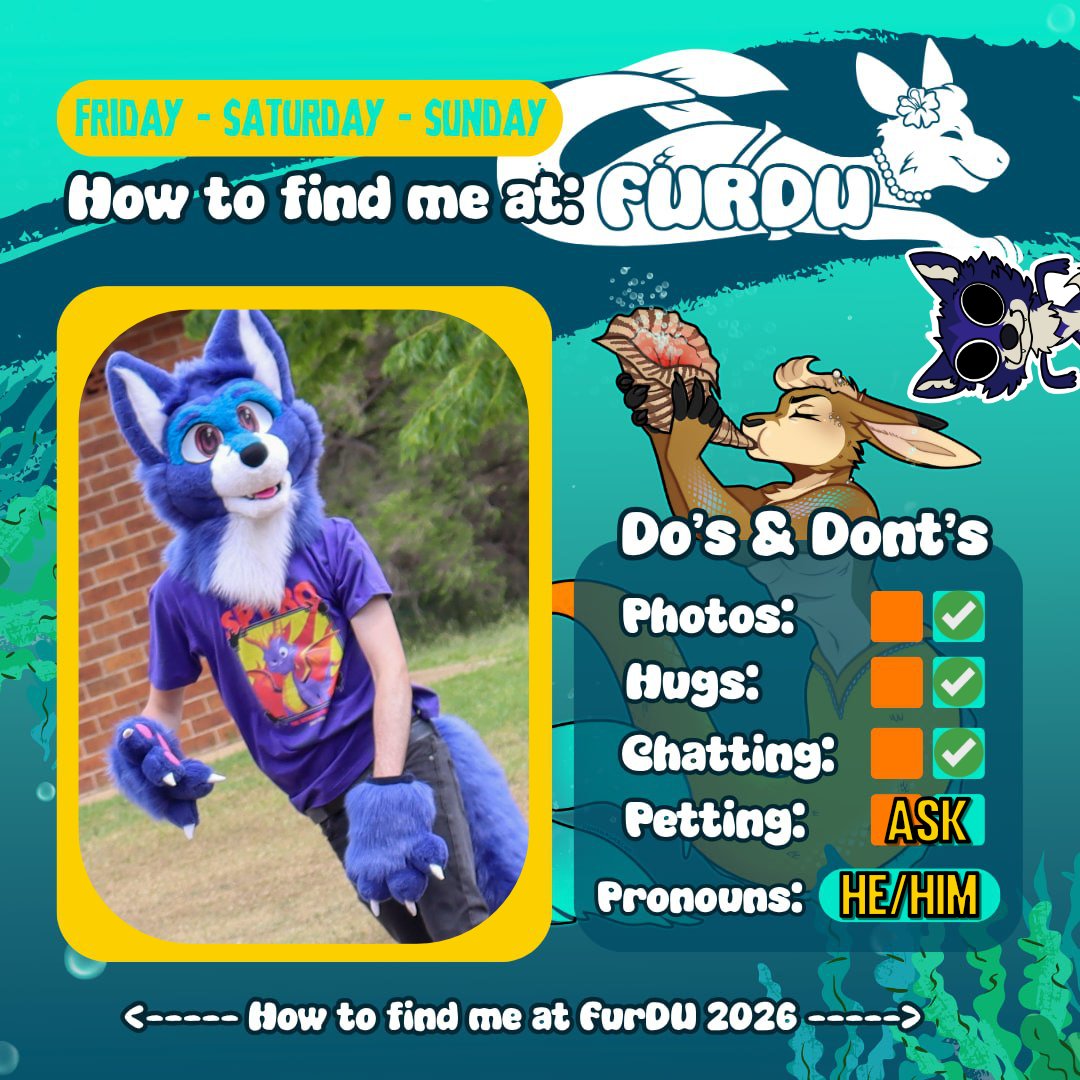 WOLFWILL 🐺 tweet media