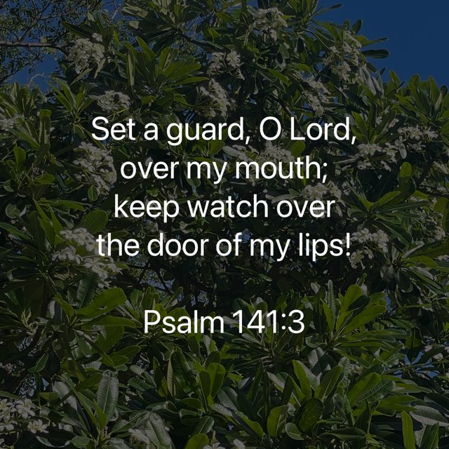 Dr D Wootton (@darrylwootton) on Twitter photo 