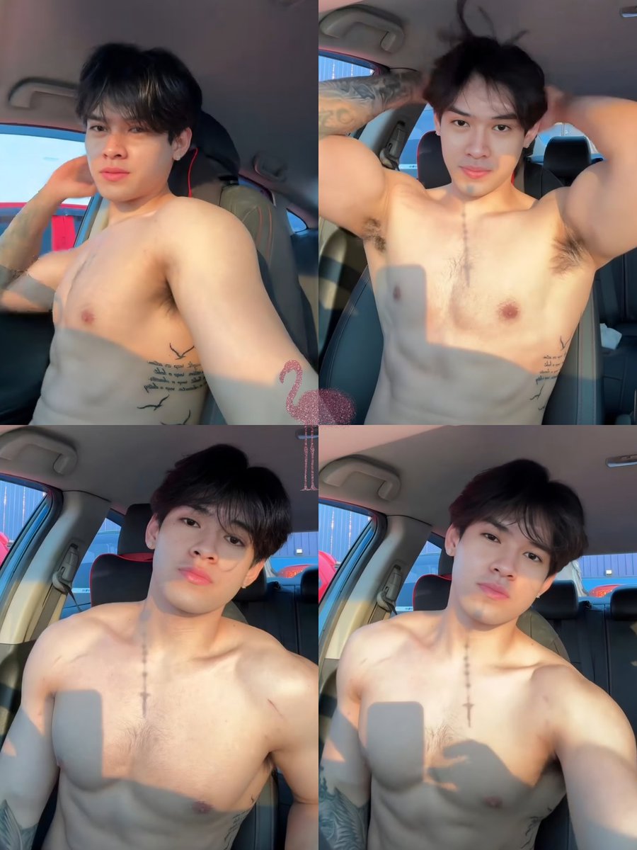 🦩🩷💓💗💞💘💝💖🌸🌺🌷🪷 tweet media