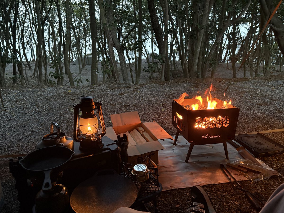 こじっち tweet media