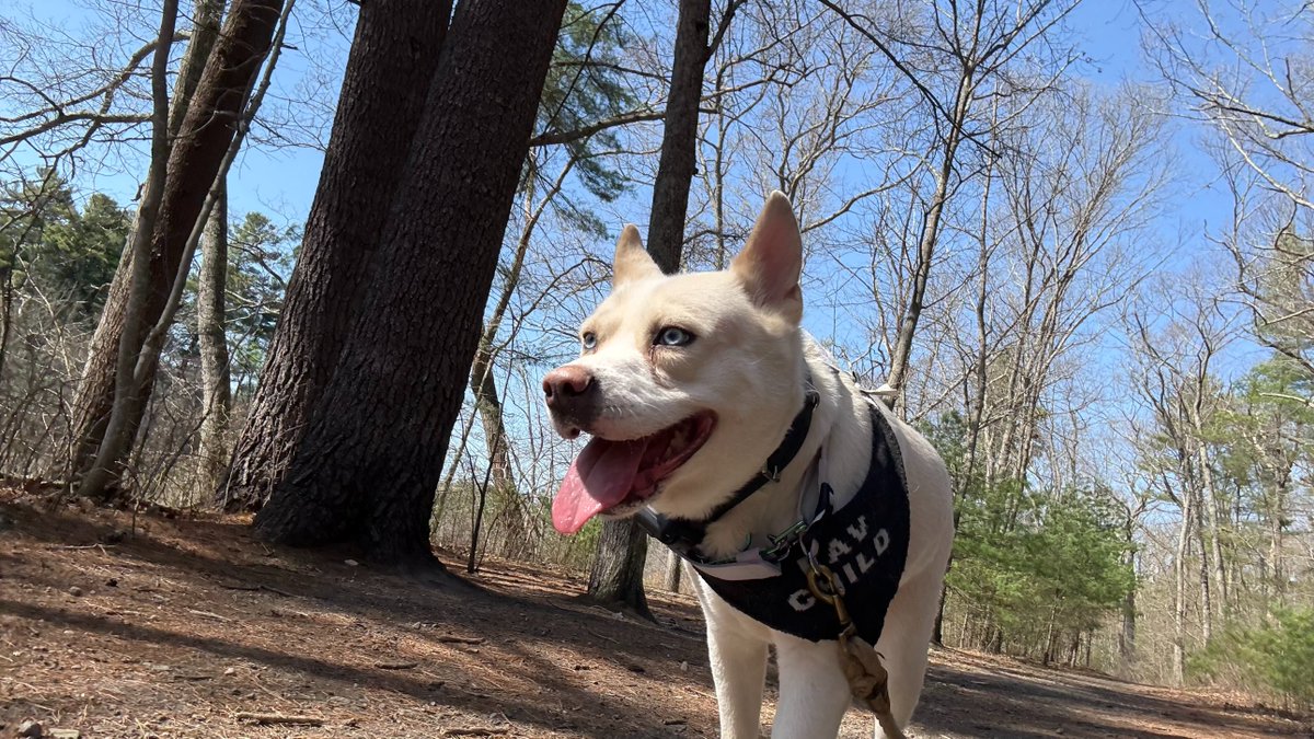 🍃𝒂𝒊𝒄𝒆𝒍 🍃 tweet media