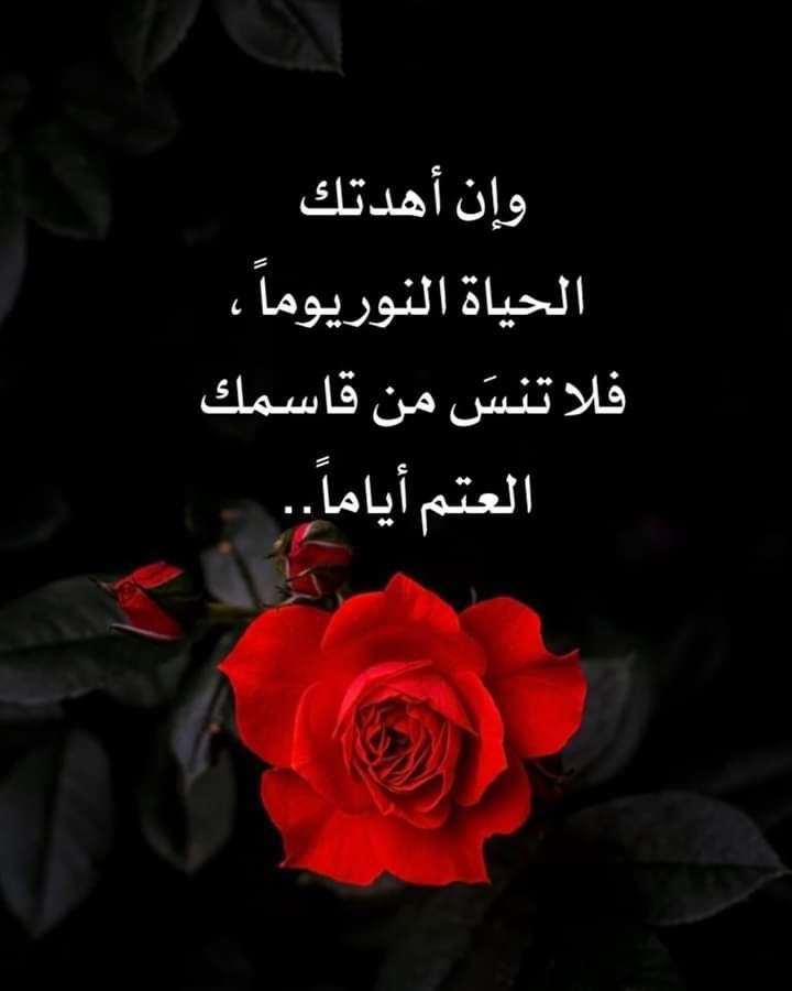🌷رهف 🌹🌹 tweet media