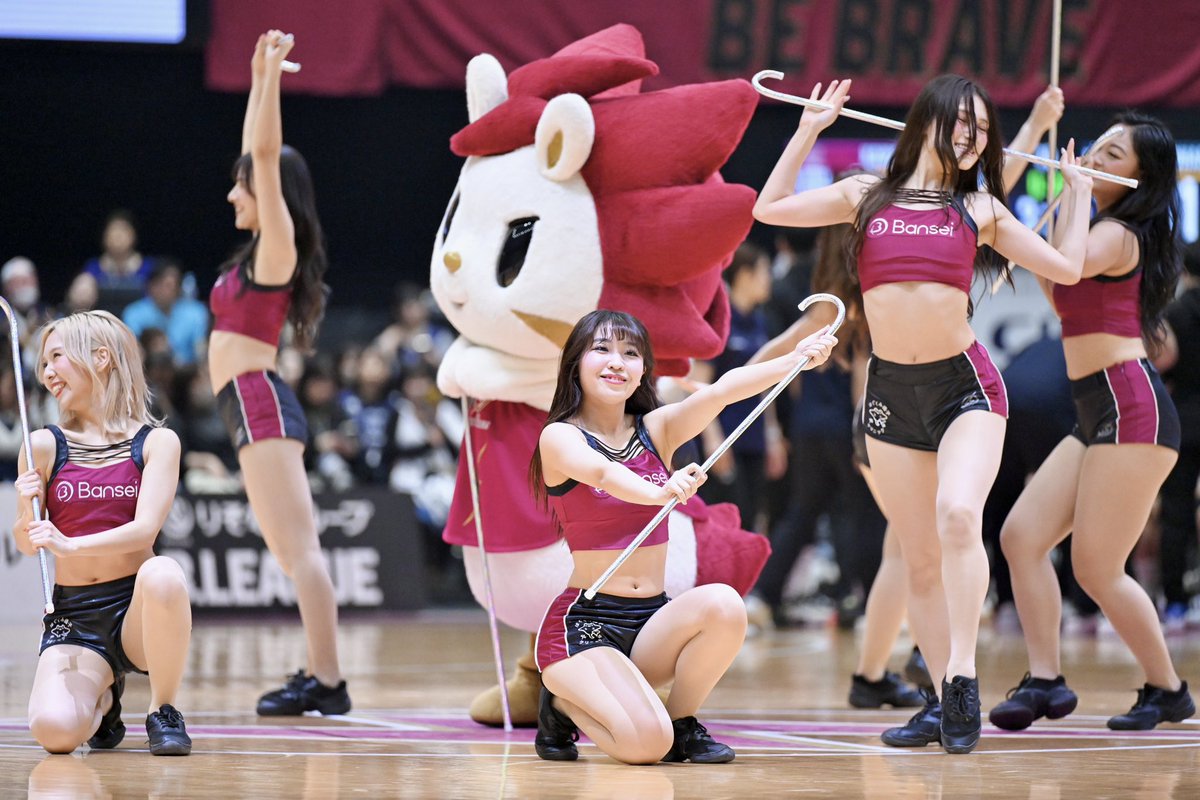川崎ブレイブサンダースチアリーダーズ IRIS tweet media