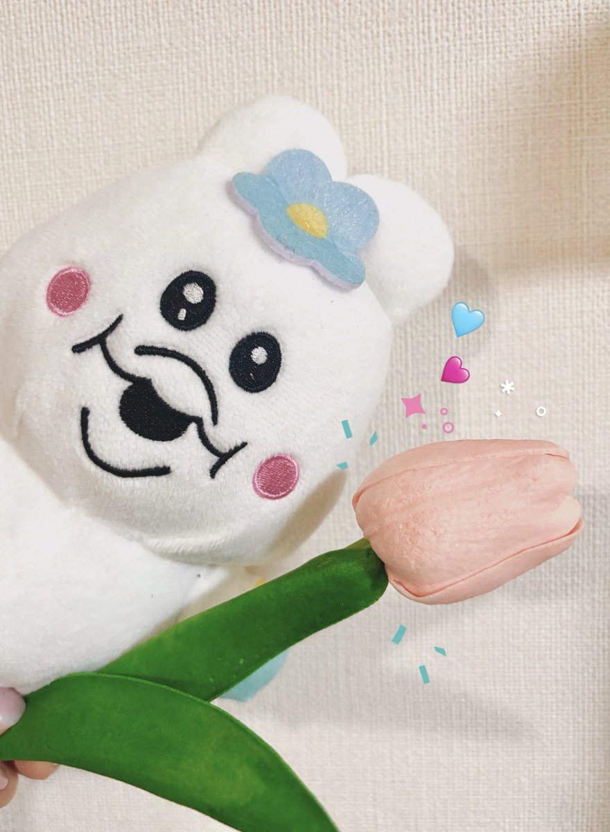 はなな🌸 tweet media