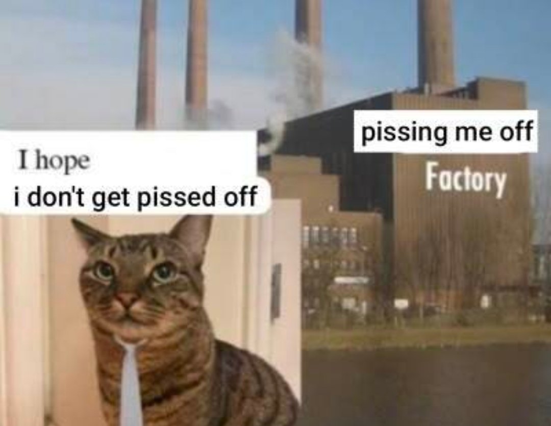 󠄖󠄖󠄖󠄖󠄖󠄖󠄖󠄖punfleto tweet media