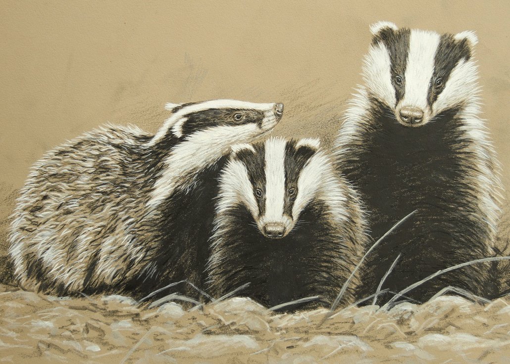 Robert E Fuller tweet media