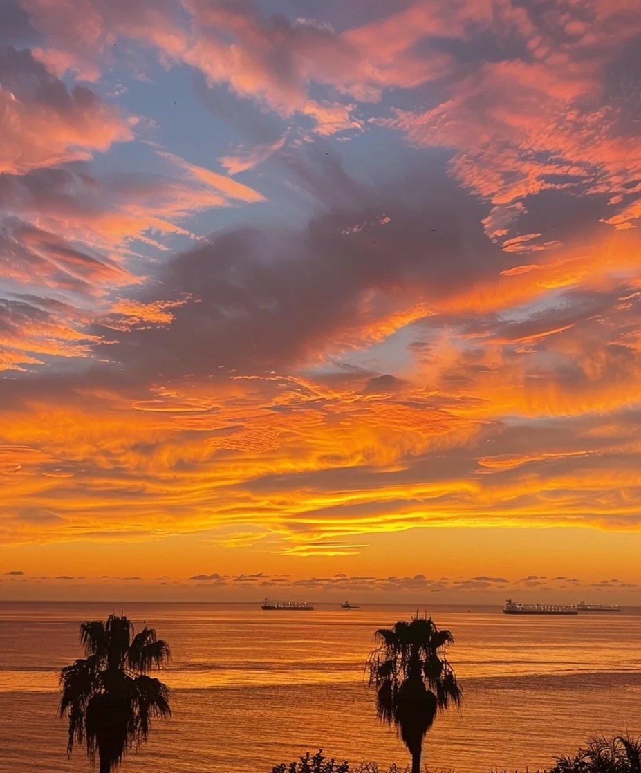 山田太郎 tweet media