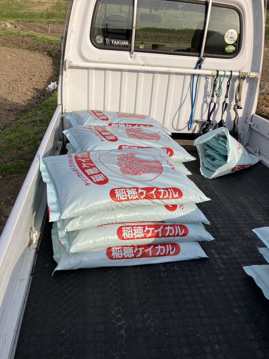 さて、天気の良いうちに撒きますか！