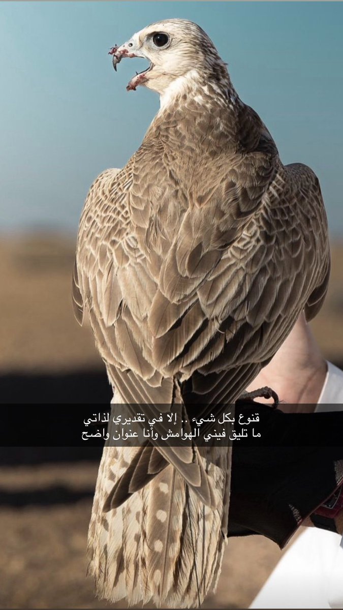 fza5111's tweet photo. قنوع بكل شيء .. إلا في تقديري لذاتي 
ما تليق فيني الهوامش وأنا عنوان واضح https://t.co/F0afJd8NdT