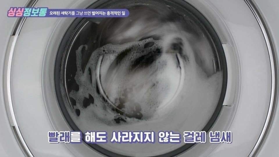 밤콩세포 tweet media