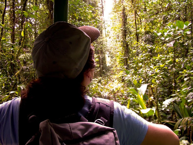 El Guisante Verde Project tweet media