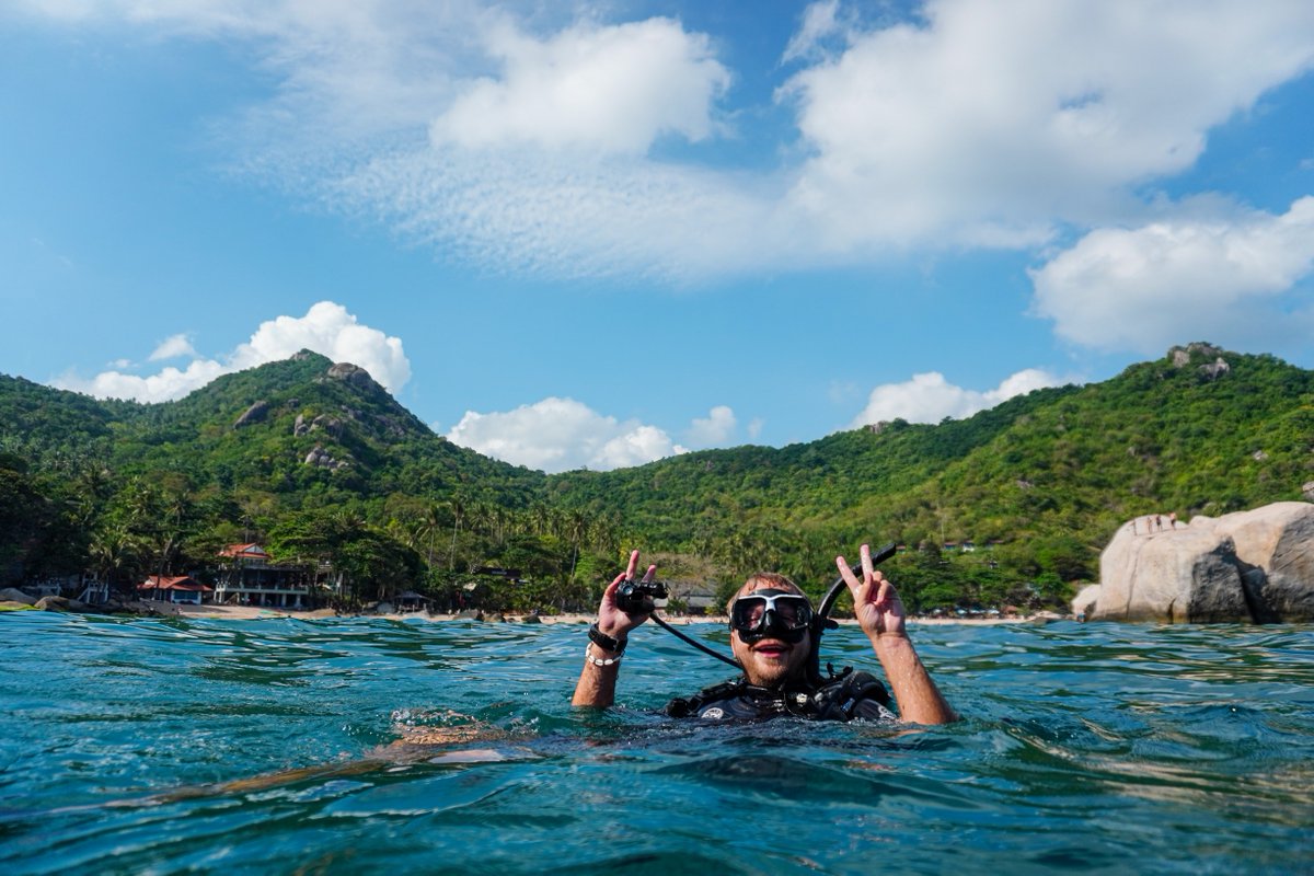 The Funky Turtle® tweet media