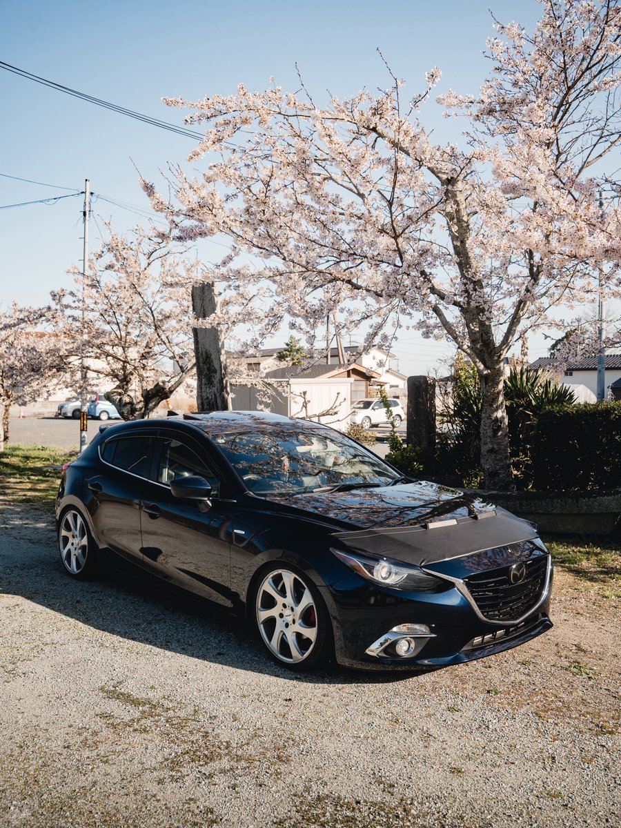 よぴこぴこ tweet media