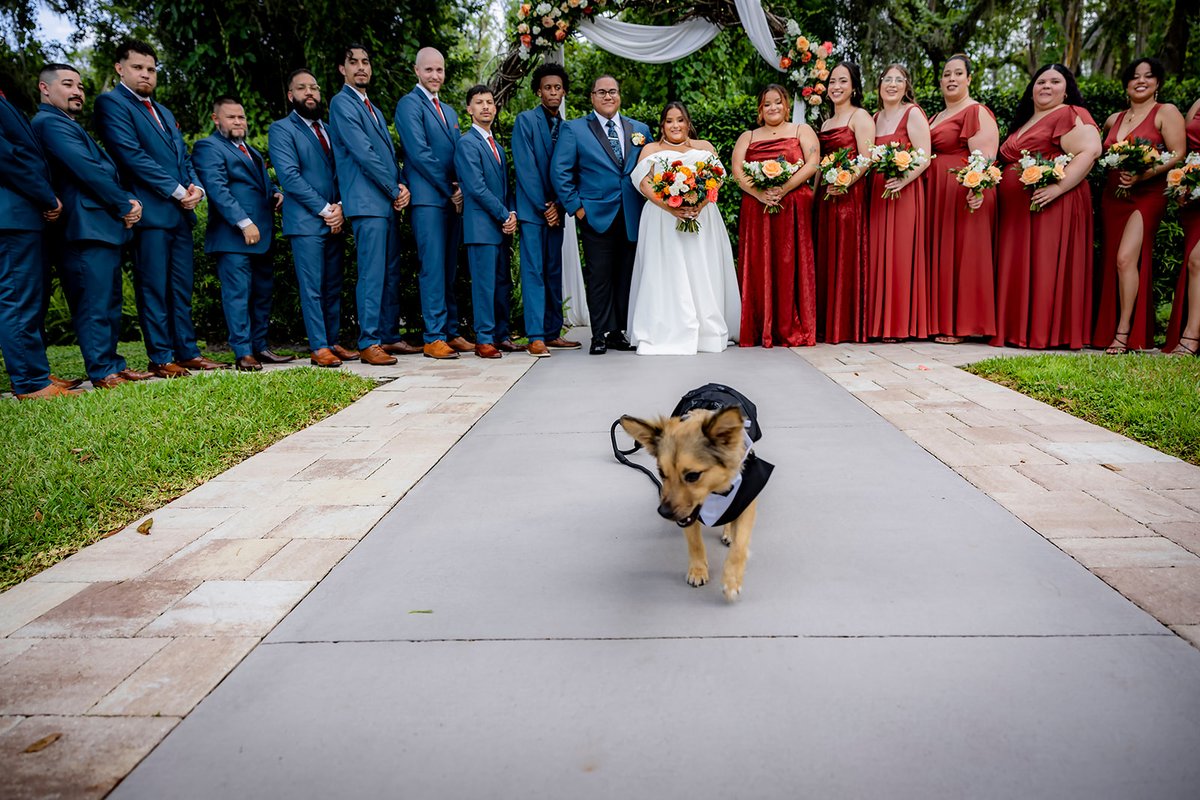 Bakers Ranch Wedding Venue tweet media