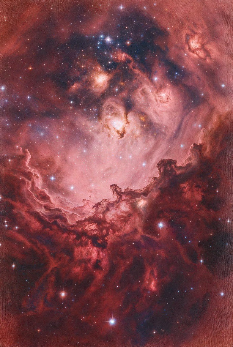 Halal Nation ☪︎ tweet media