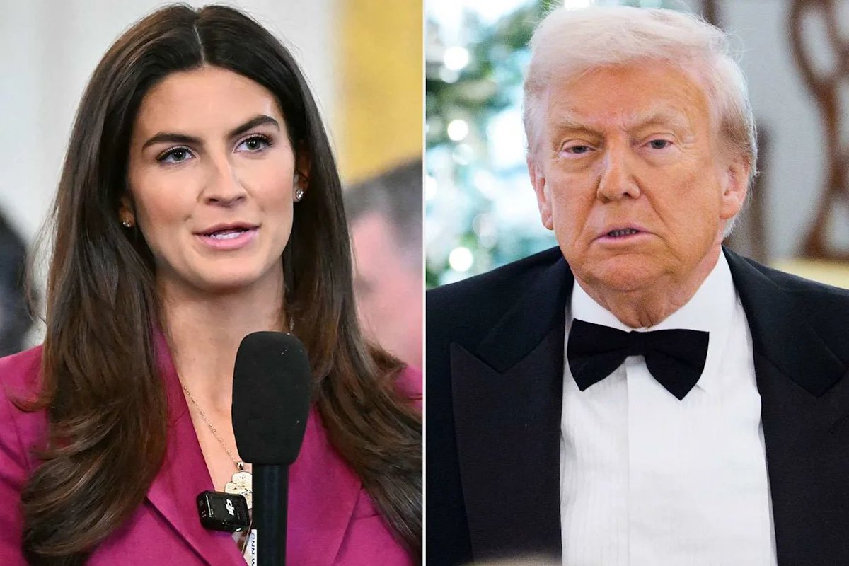 SABUZ VIEW tweet media