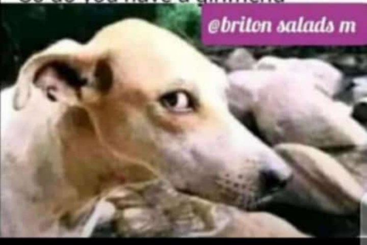 Mr Rukungiri😎 tweet media