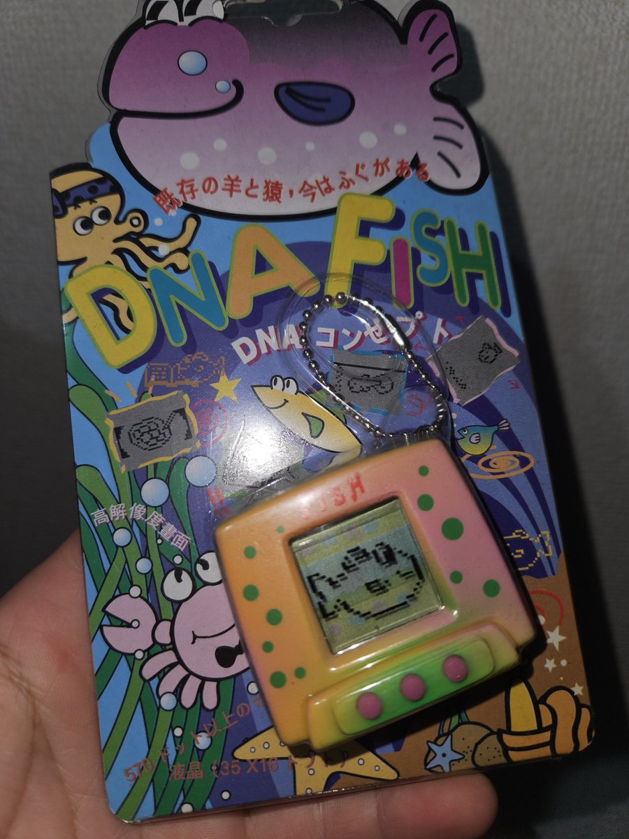 非人生 tweet media