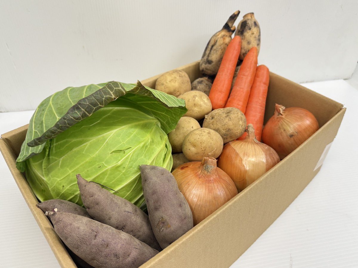 涼 / Ryosuke Mano tweet media