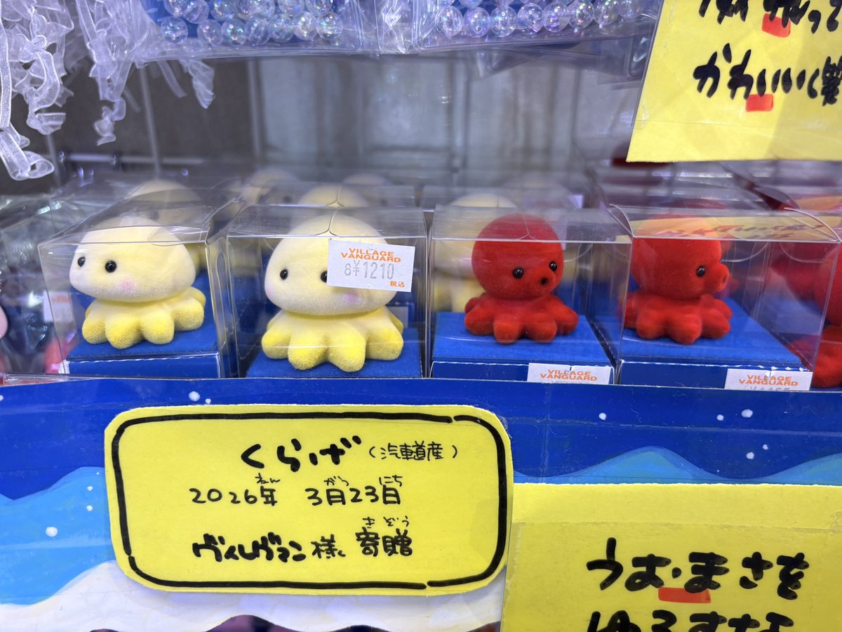 ヴィレッジヴァンガード横浜WP tweet media