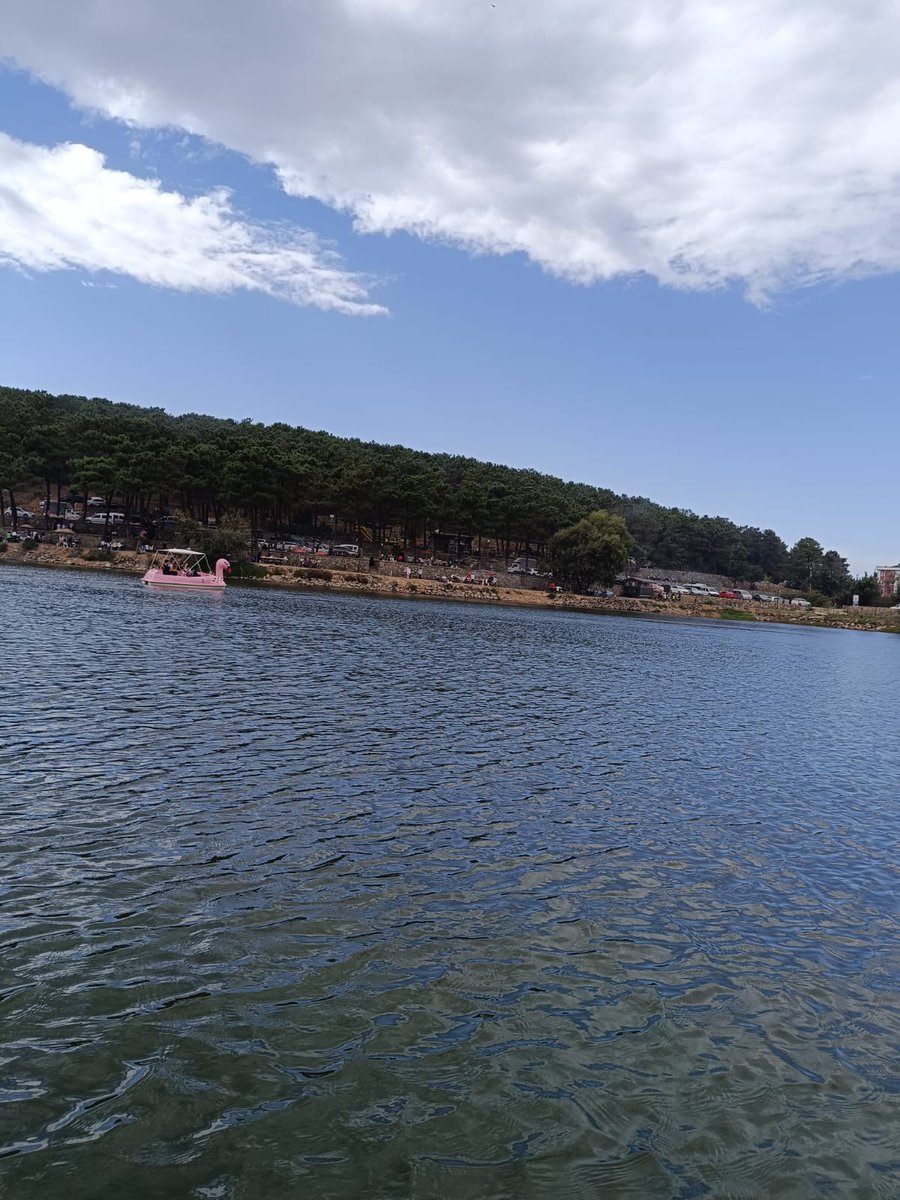 BERCESTE tweet media