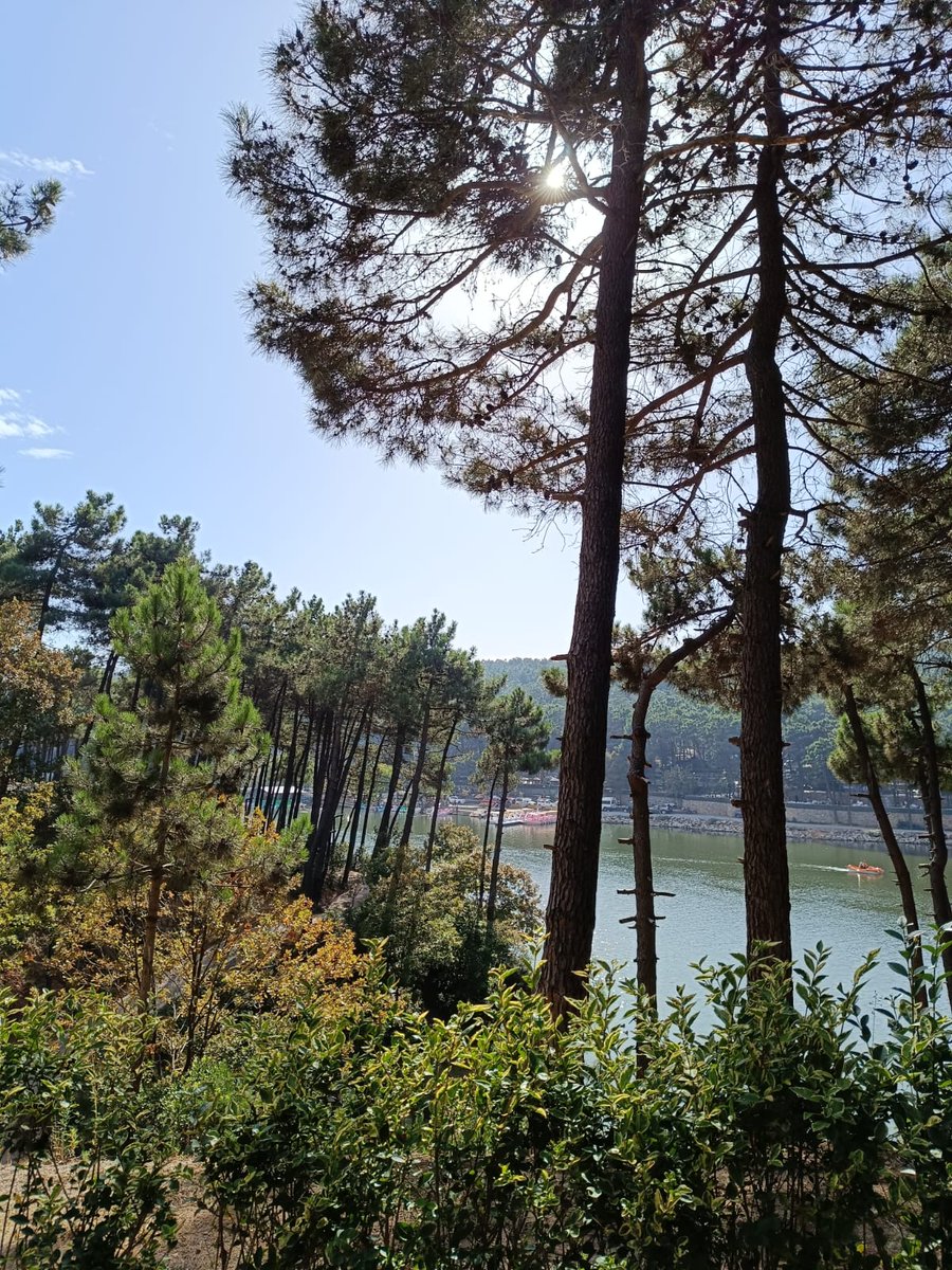 BERCESTE tweet media