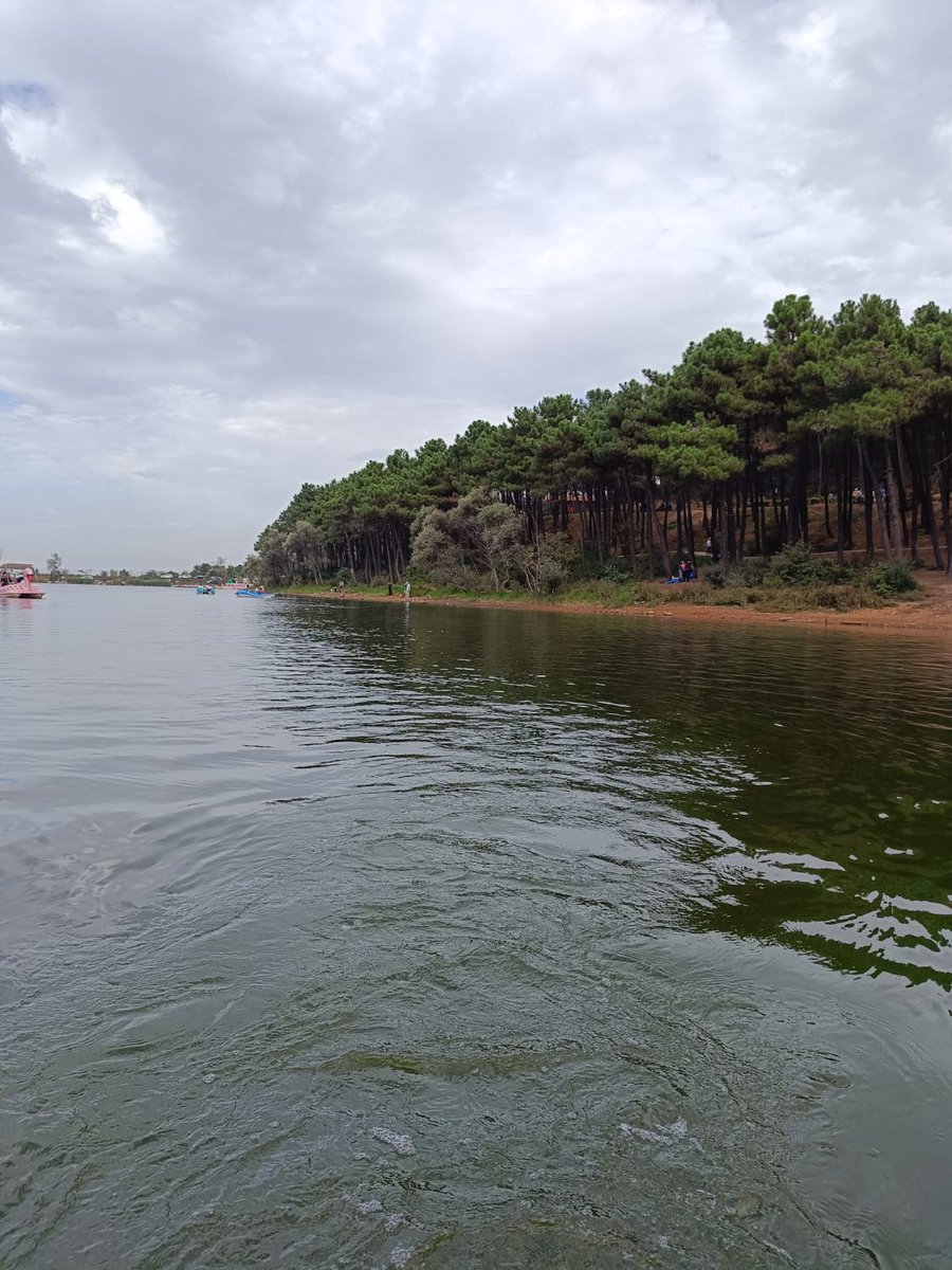 BERCESTE tweet media