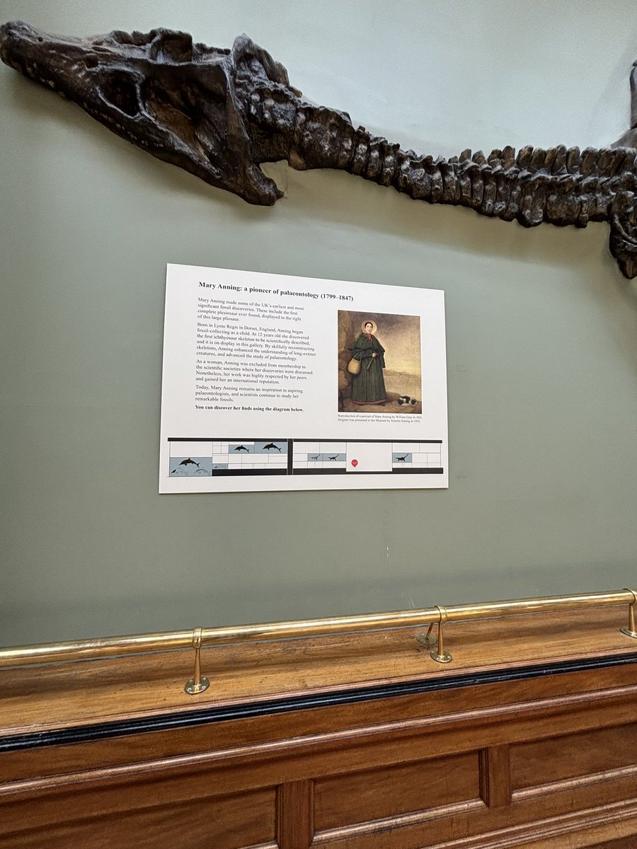 TOKYOMODELING@次回はWF2026s tweet media