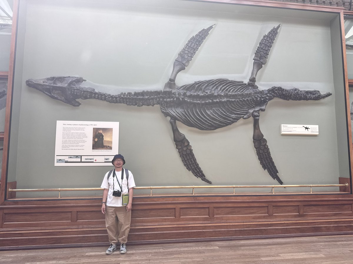 TOKYOMODELING@次回はWF2026s tweet media