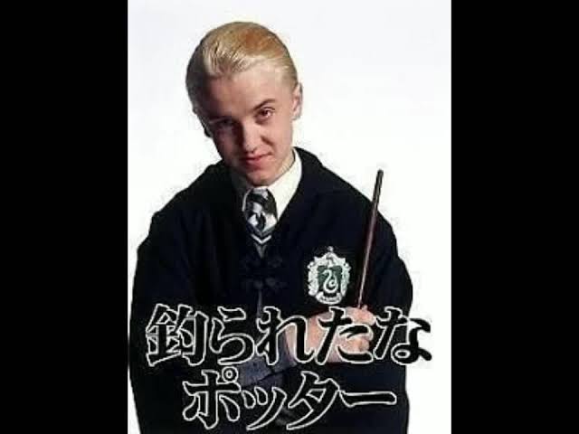 ドブカスはなこ tweet media