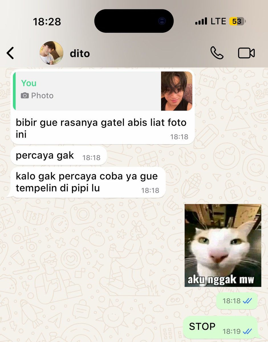 MiMi 🧸 tweet media