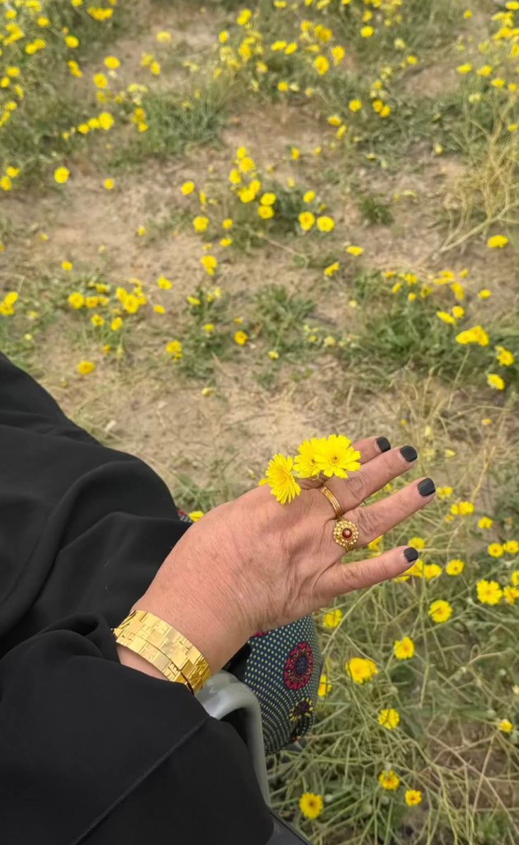 فرات✏️ tweet media