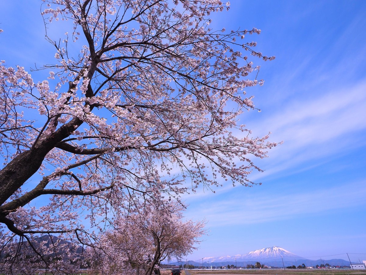 JollyRogers_88's tweet photo. LUMIX には LUMIX の良さがあり
OLYMPUS も然り
岩手山と桜のコラボ…夢見心地の春
OLYMPUS OM-D E-M5 Mark III
LEICA DG SUMMILUX 9mm/F1.7 ASPH.
#マイクロフォーサーズで切り撮る世界
#OMDS #OLYMPUS #EM5III
#岩手県 #盛岡市 #桜 #岩手山 https://t.co/uGcs549I6n